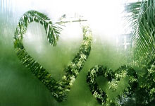 高校联赛，热血青春与梦想的舞台